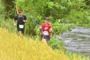 BIB: 
                            <button type="button" onclick="openModal(13434513)" class="btn btn-primary btn-sm float-right btn-popup" data-toggle="modal" data-target=".modal-high-quality">
                        <i class="fas fa-shopping-cart"></i> Add to Cart
                    </button>
                                            <button type="button" onclick="isThisMe(13434513, true)" class="btn btn-success btn-sm float-right btn-popup btn-isme hidden" data-toggle="tooltip" data-placement="bottom" title="นี่คือรูปของคุณใช่ไหม คลิกที่นี่เพื่อเอาเข้าอัลบั้ม">
                        <i class="fas fa-plus"></i> Add to album
                    </button>
                    <button type="button" onclick="isThisMe(13434513, false)" class="btn btn-warning btn-sm float-right btn-popup btn-isnotme hidden">
                        <i class="fas fa-ban"></i> Remove from album
                    </button>